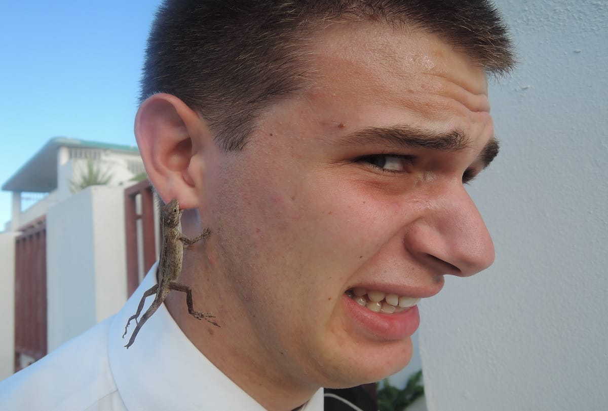 Squirming lizard removed from man’s ear in China beijing 