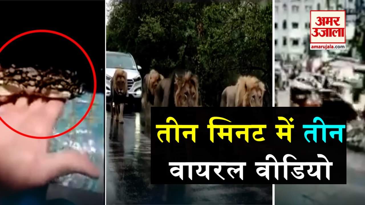 डिजाइन पिक्चर