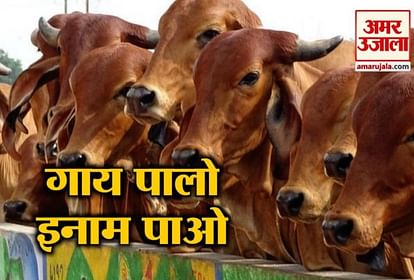 RAJASTHAN-MP GOVERNMENT RELEASE A NEW ORDER FOR COW WELFARE