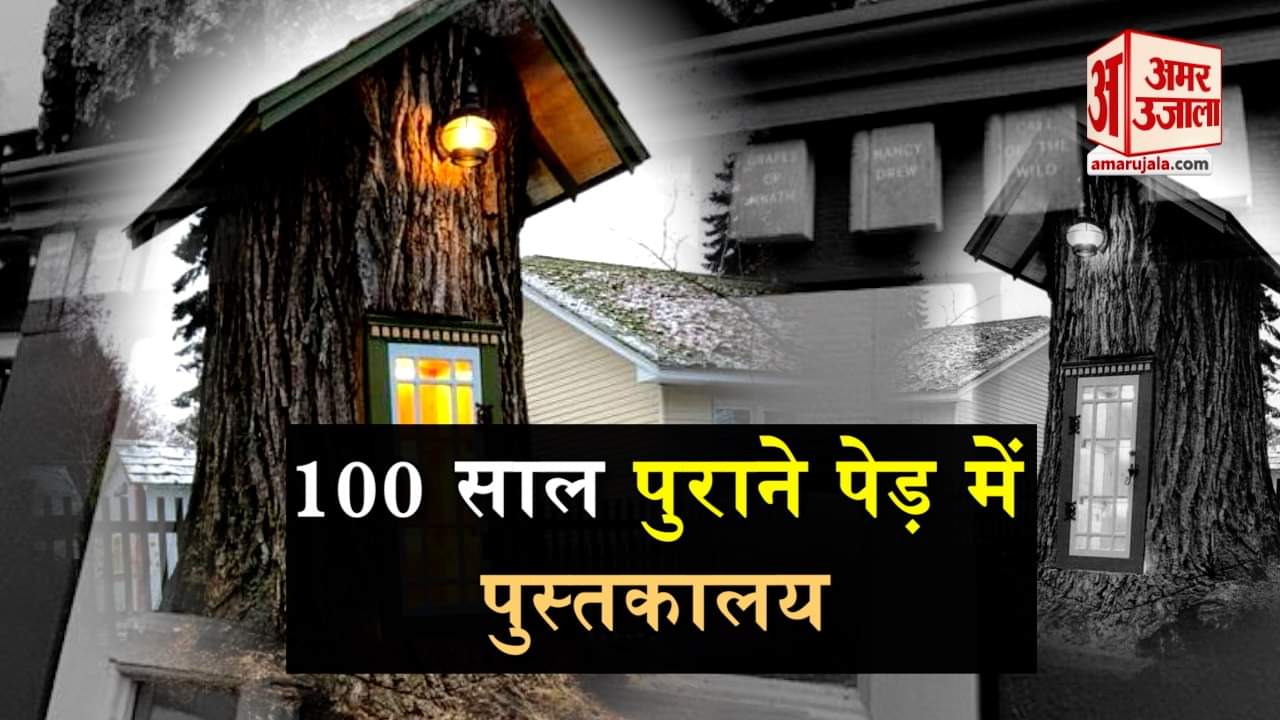 प्रतीकात्मक तस्वीर