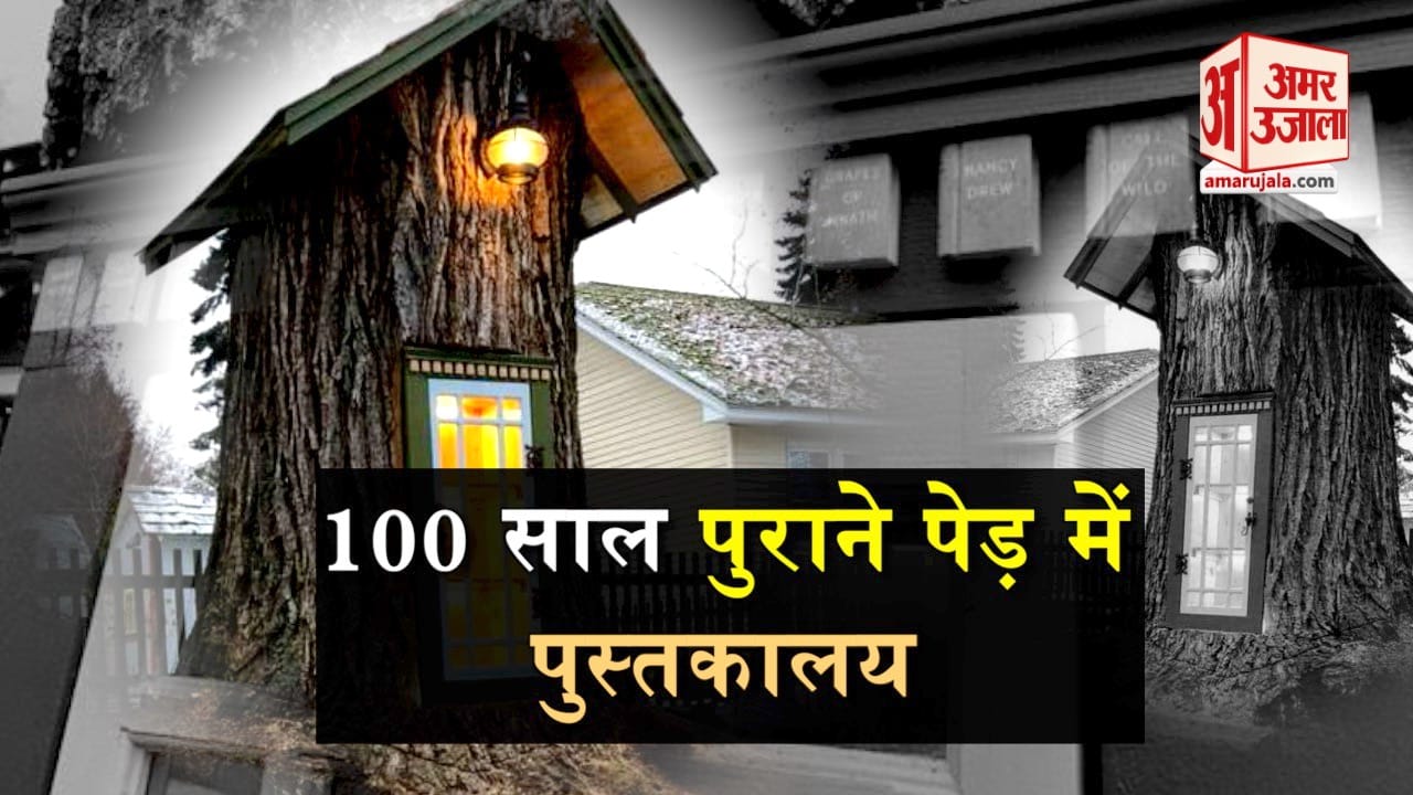 प्रतीकात्मक तस्वीर