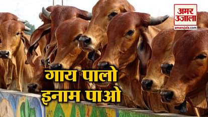 RAJASTHAN-MP GOVERNMENT RELEASE A NEW ORDER FOR COW WELFARE