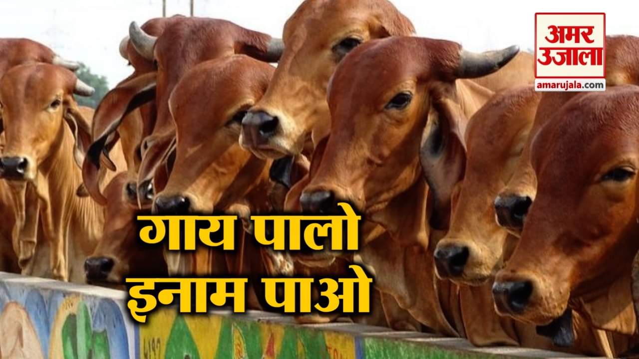गौ रक्षा