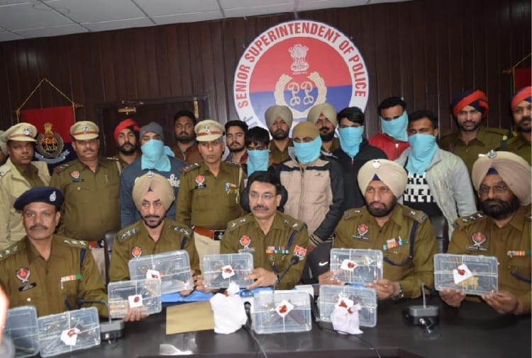 six miscreant arrested in Jalandhar including weapons