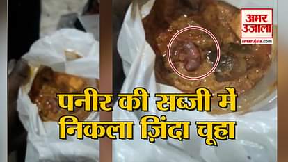 video-being-viral-of-mouse-found-in-the-restaurant-food faridabad