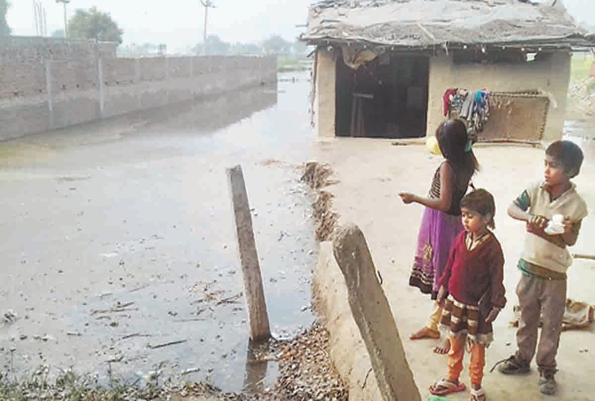 25-bighseed crop from Tiralpur canal break
