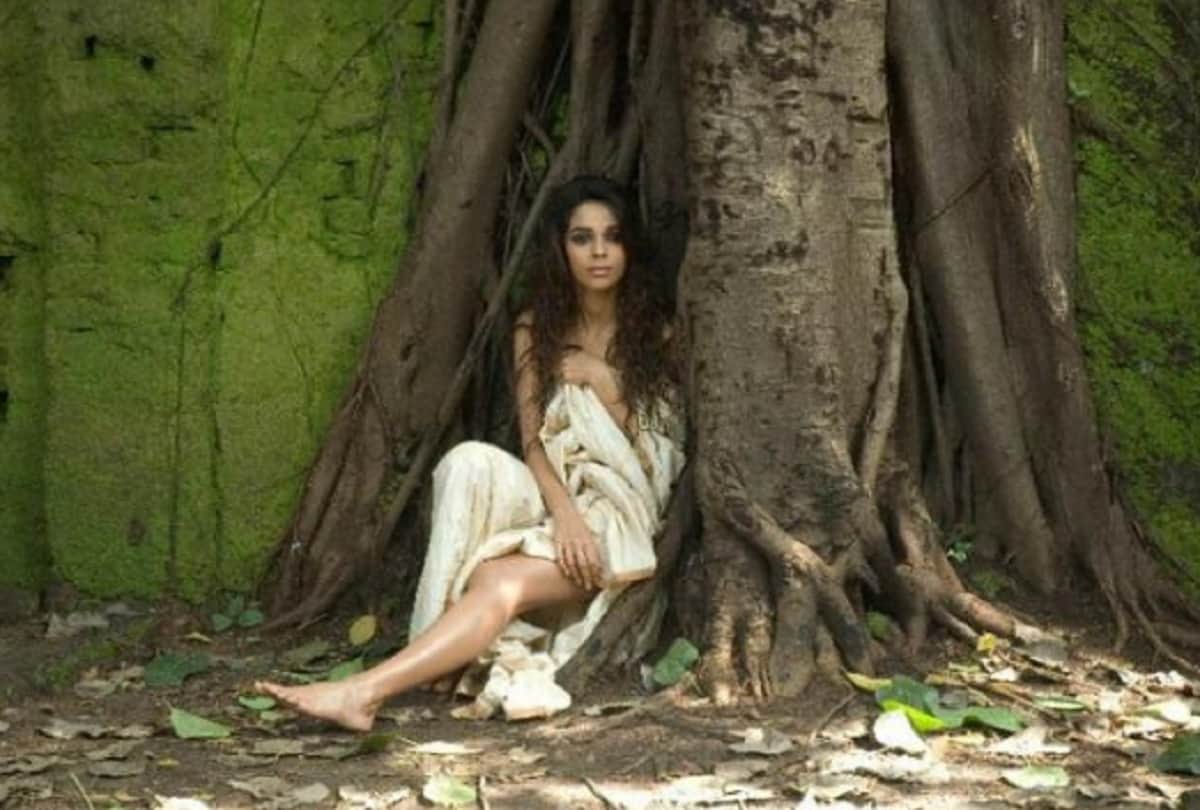 Mallika Sherawat to Priyanka Chopra used duplicate in Bold scenes