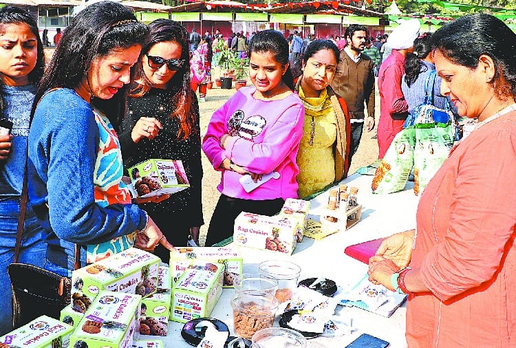 Organic Farming, Organic Food Festival in Chandigarh