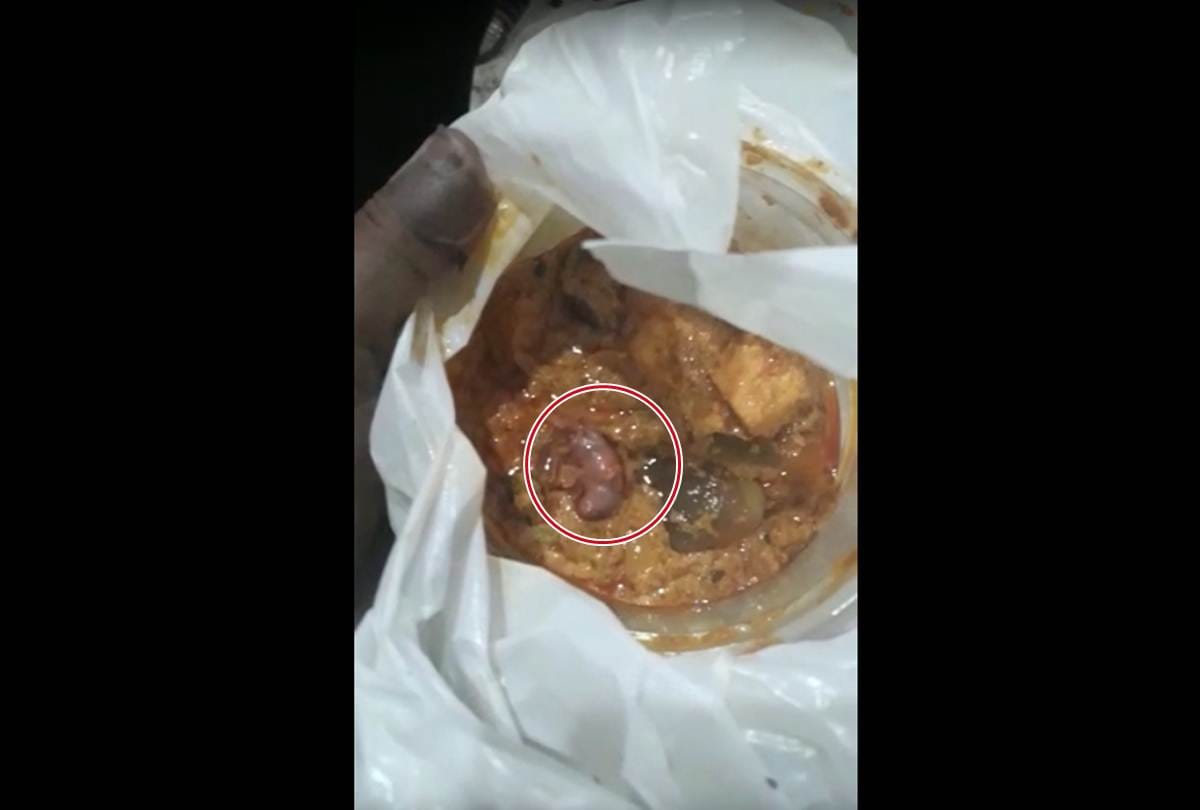 Video Being Viral of mouse found in the restaurant Food