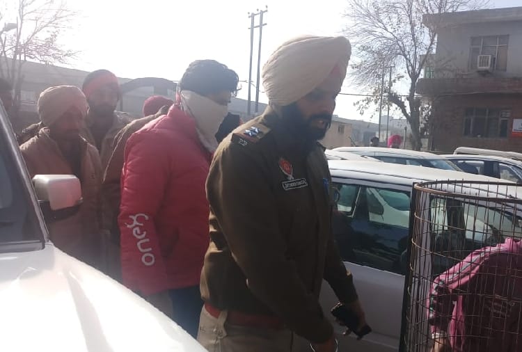 fugitive accused of murder arrested From moga of punjab