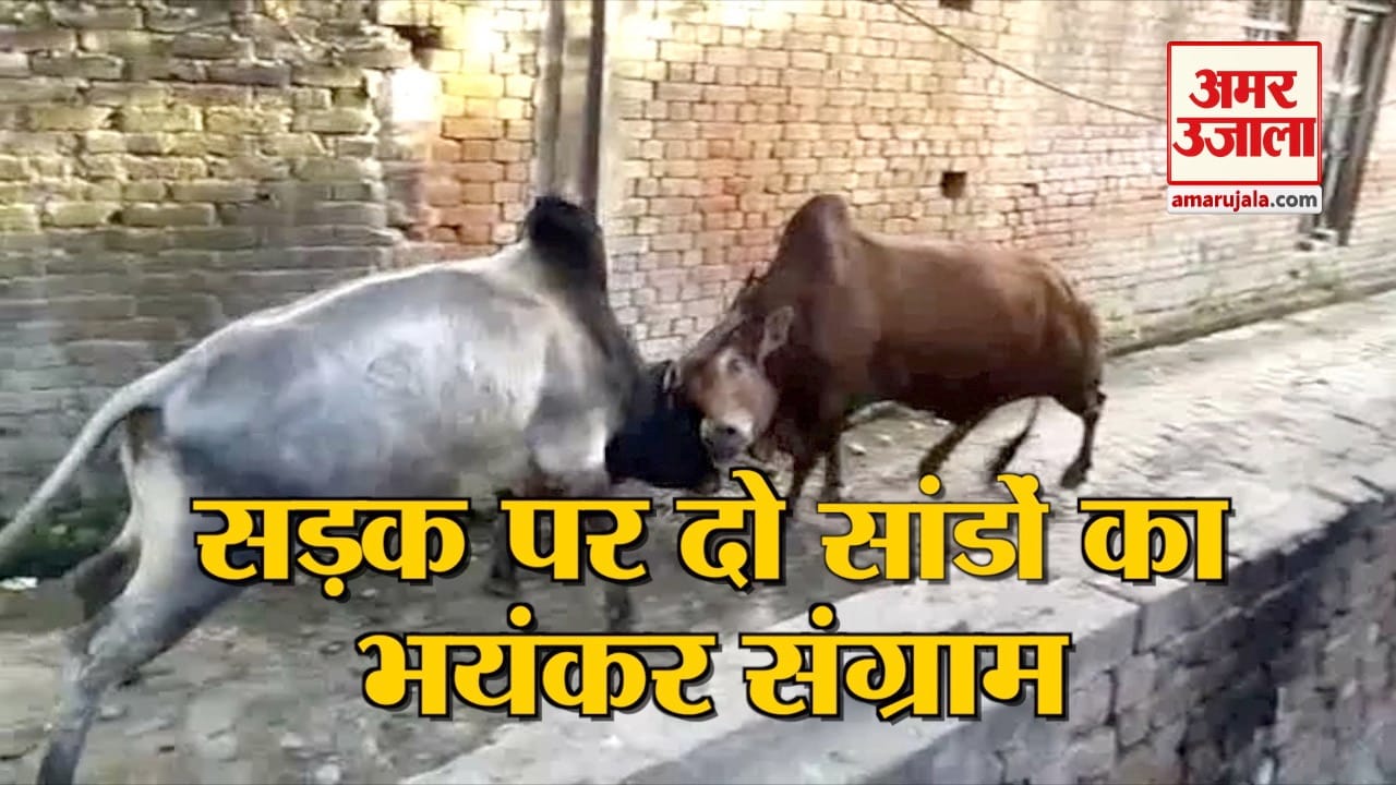 हरदोई