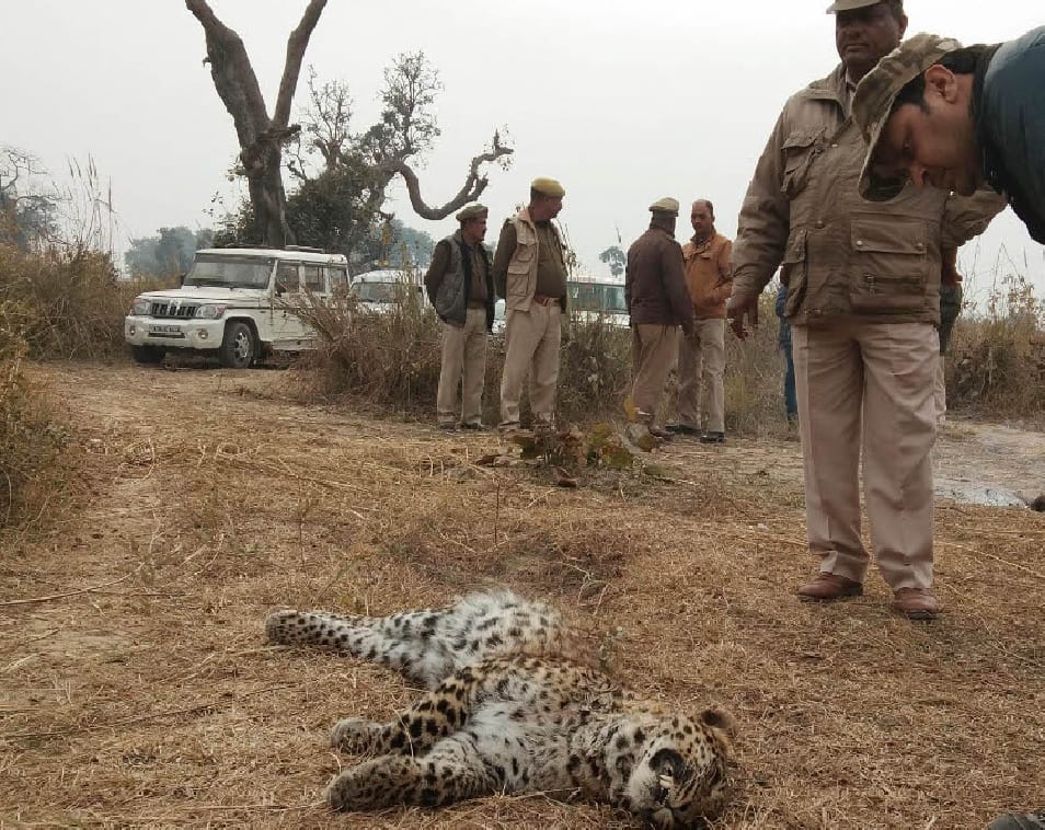 Male fetal body found in Kodia range