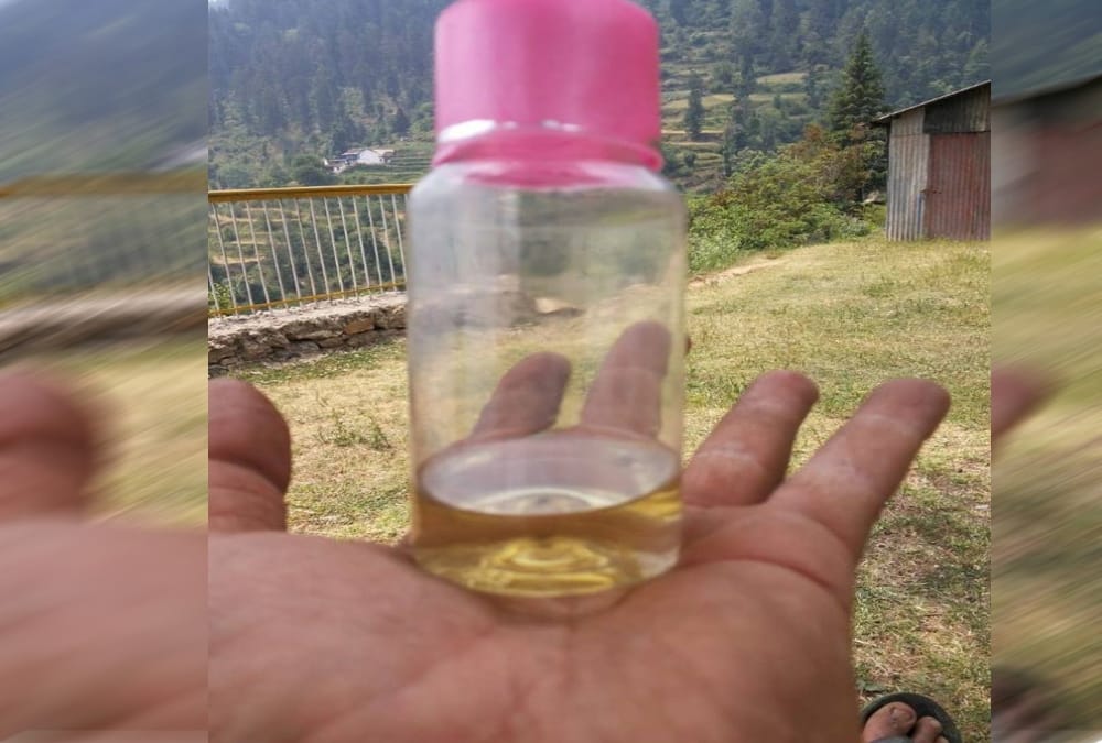 Women earning from Rose farming business in uttarakhand chamoli