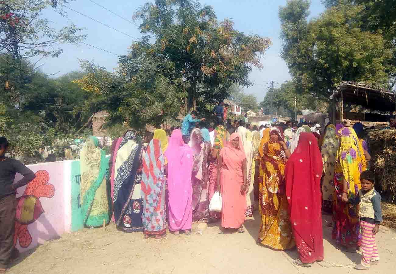 cattle problem in auraiya uttar pradesh