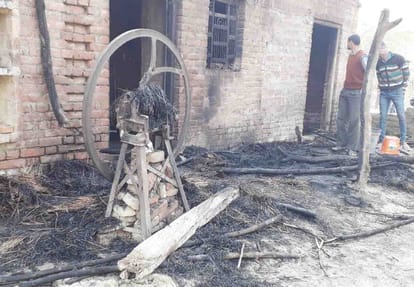 eight animals burnt in Animal Farm