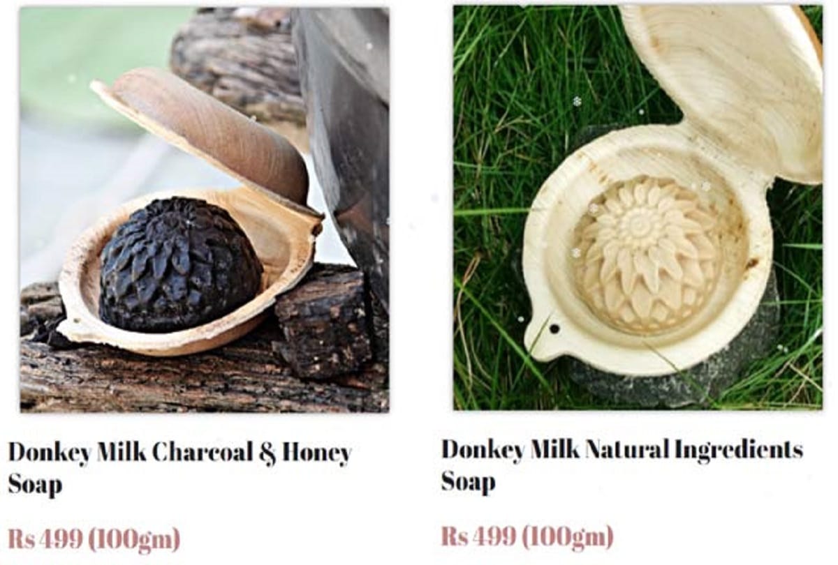 donkey milk soaps being sold at women of india organic festival in chandigarh