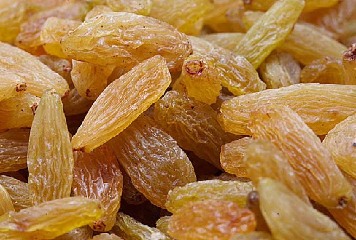 know about what is the benefit of raisins in winter season