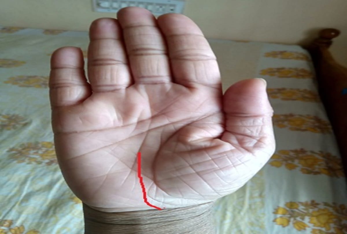 palmistry these 10 auspicious sign have in palm