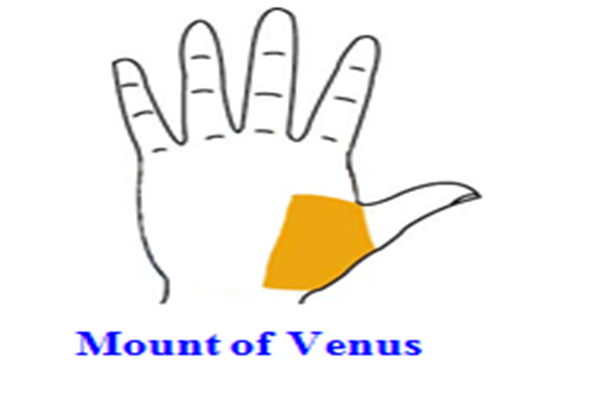 palm lucky lines lucky lines on palm