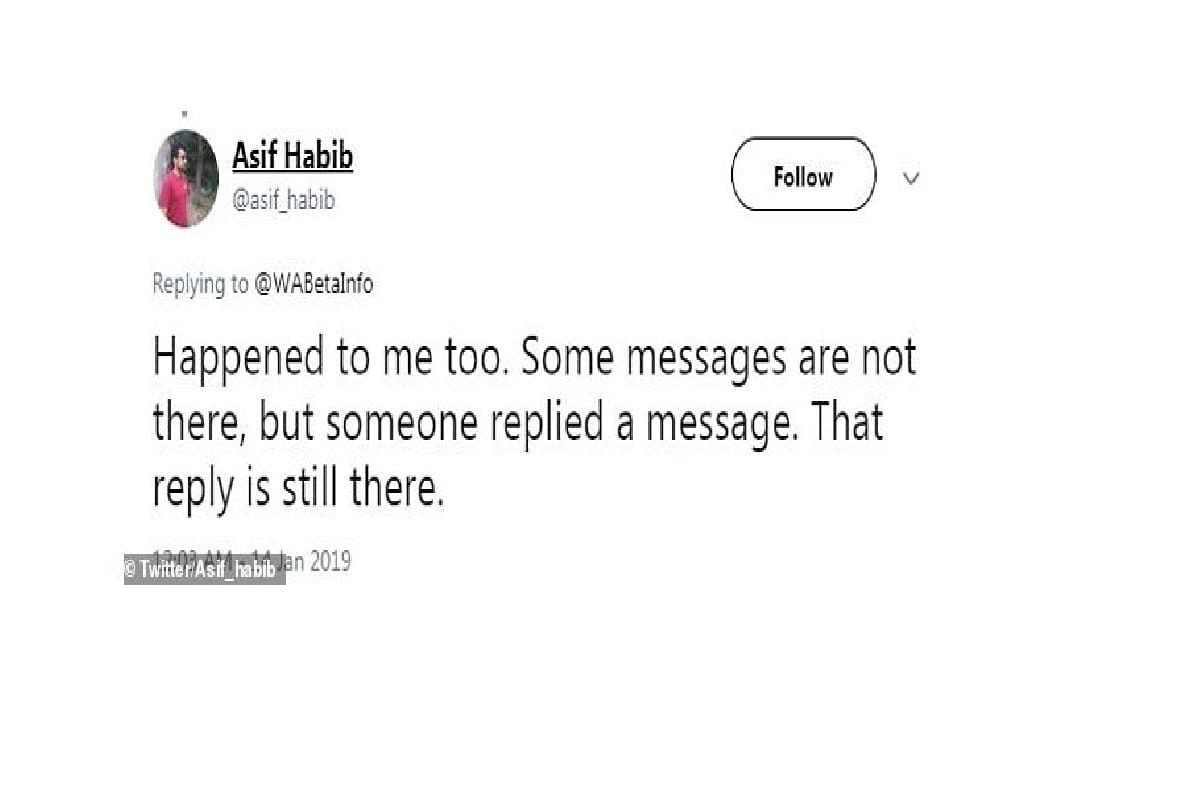 whatsapp bug