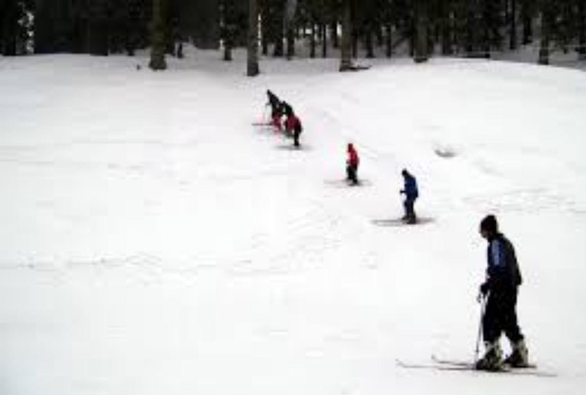 winter national championship in Narkanda Shimla