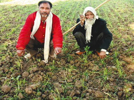 The farmer tried to give life by hanging