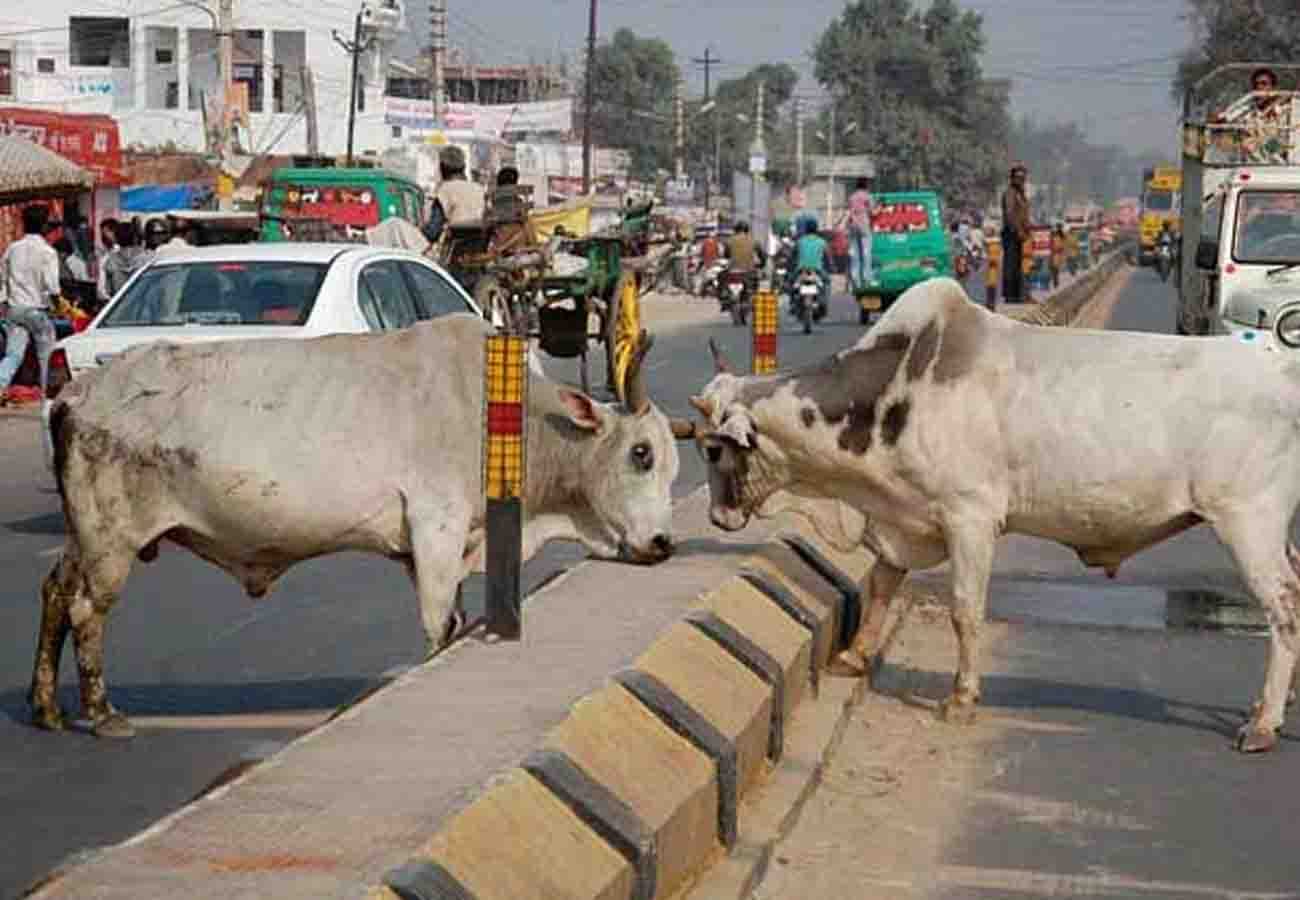 bjp core committee meeting is not for 2019 elections the real issue is different