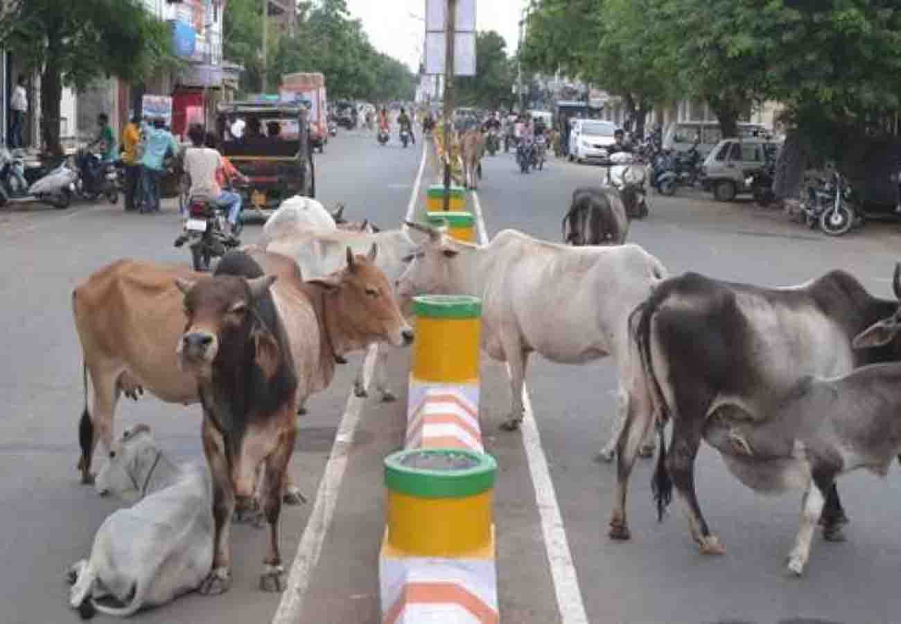 bjp core committee meeting is not for 2019 elections the real issue is different