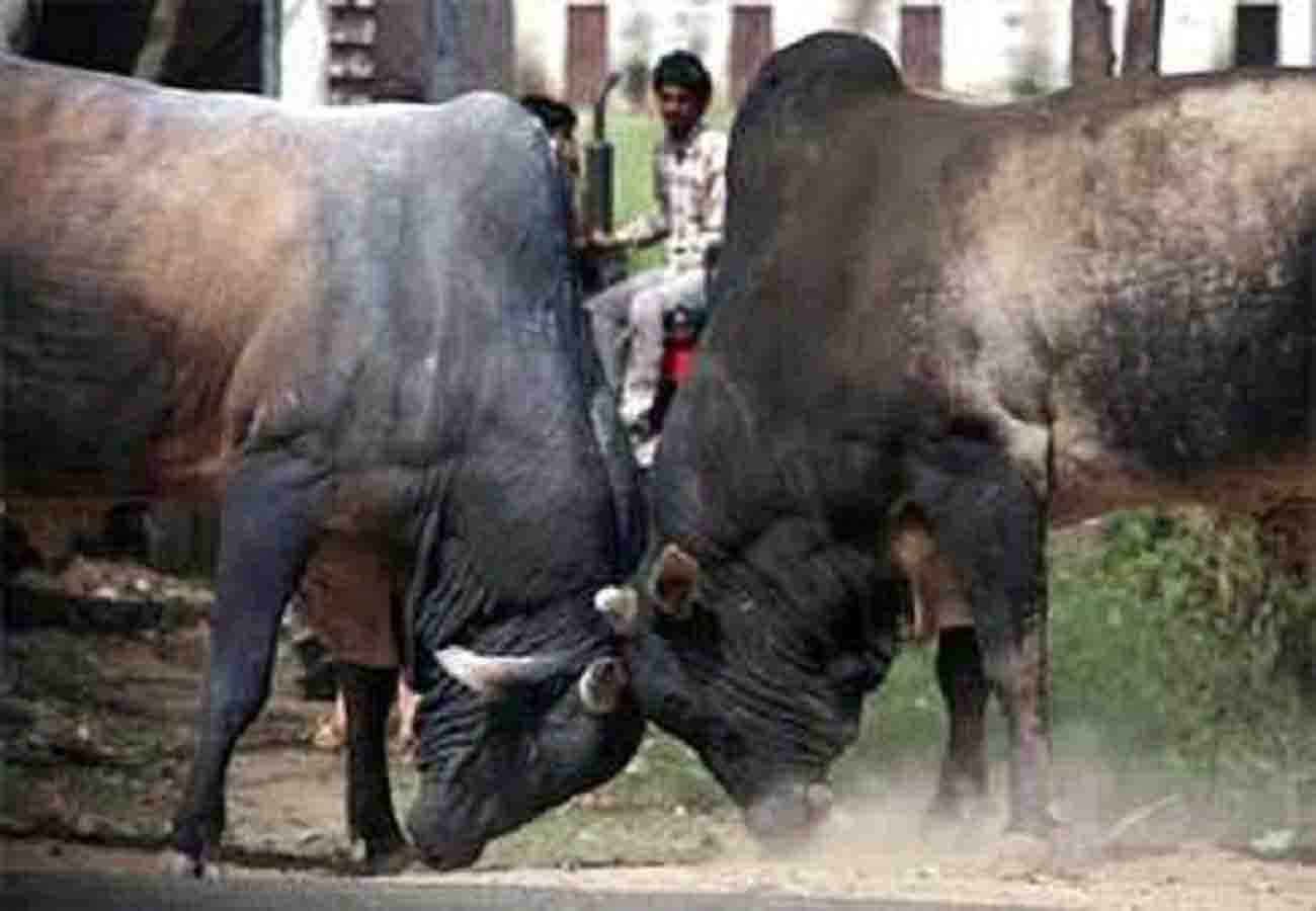 bjp core committee meeting is not for 2019 elections the real issue is different