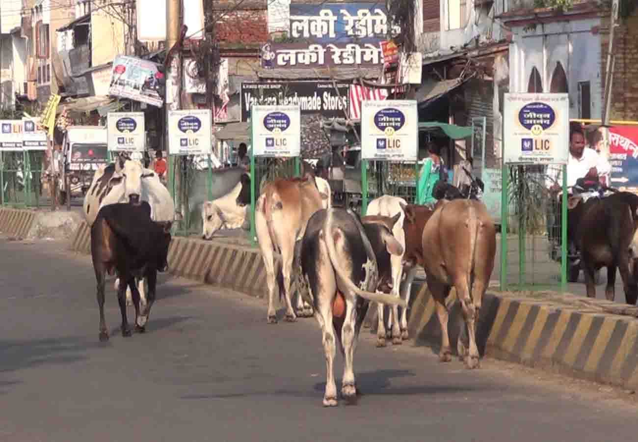 bjp core committee meeting is not for 2019 elections the real issue is different