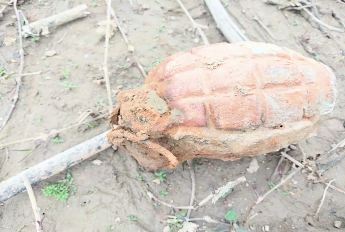 live hand grenade found in the banks of Pong Dam at kangra himachal