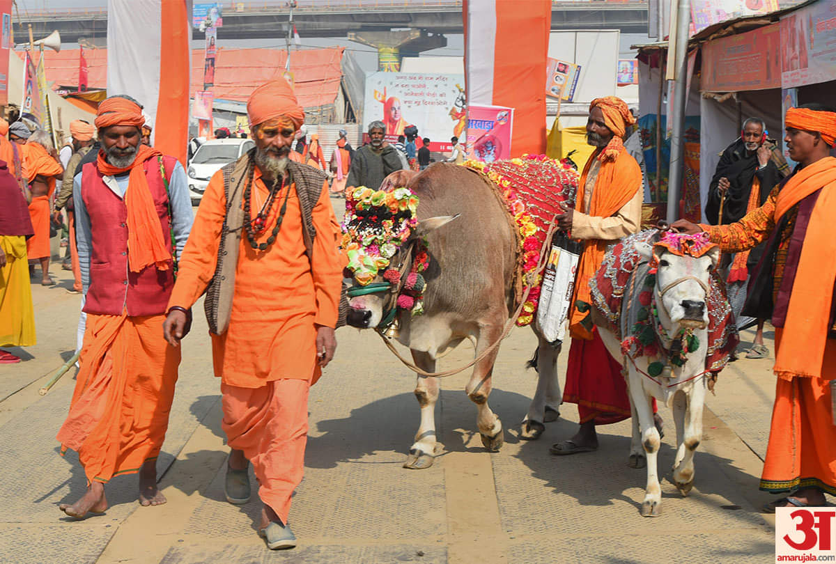 Kumbh Mela 2019 best photos latest kumbh images in 2019