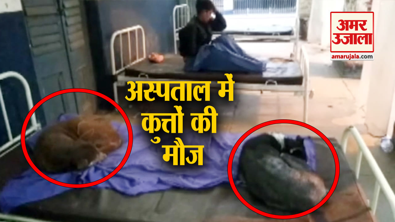नवादा
