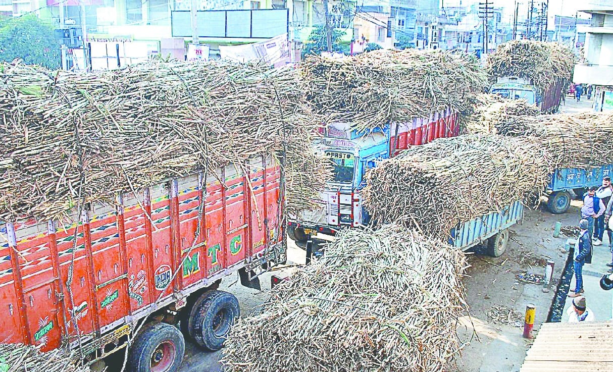 The way to pay the outstanding sugarcane payment