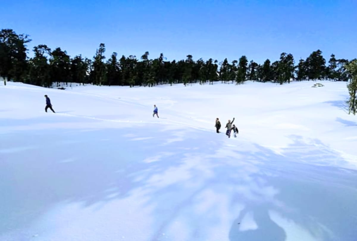 rainfall and snowfall prediction for himachal from 20  to 23 january