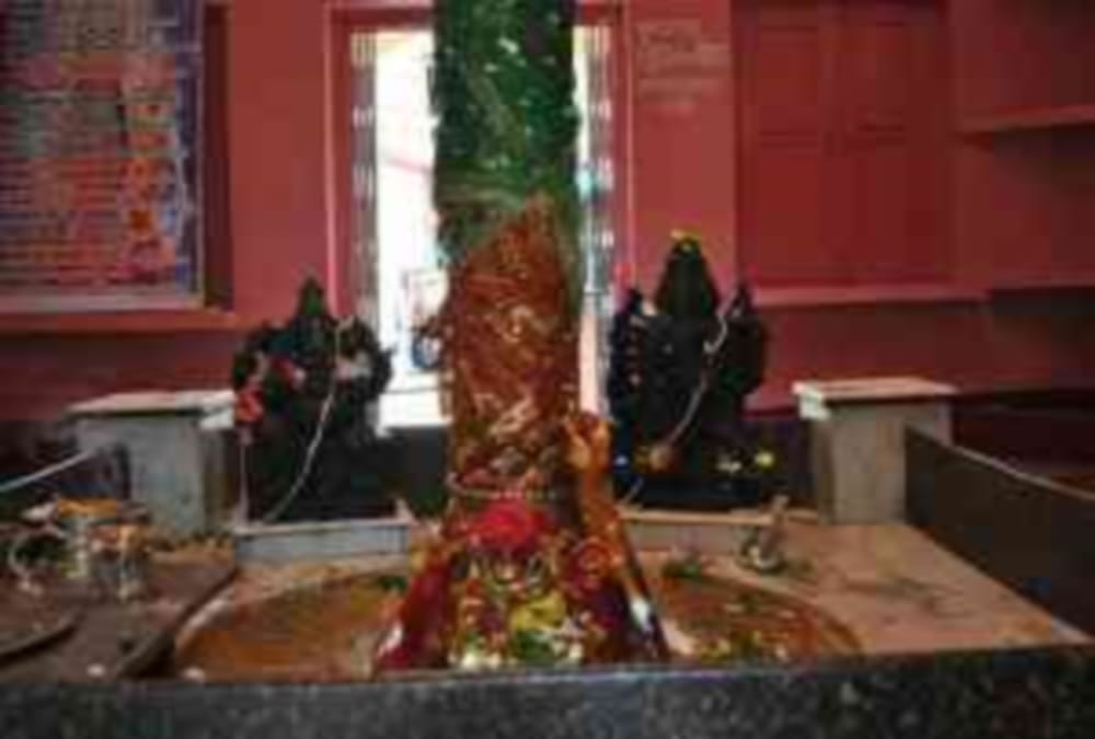 Pilgrims Done flower rain on Vishwanath temple by paragliding in uttarkashi