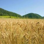agriculture law