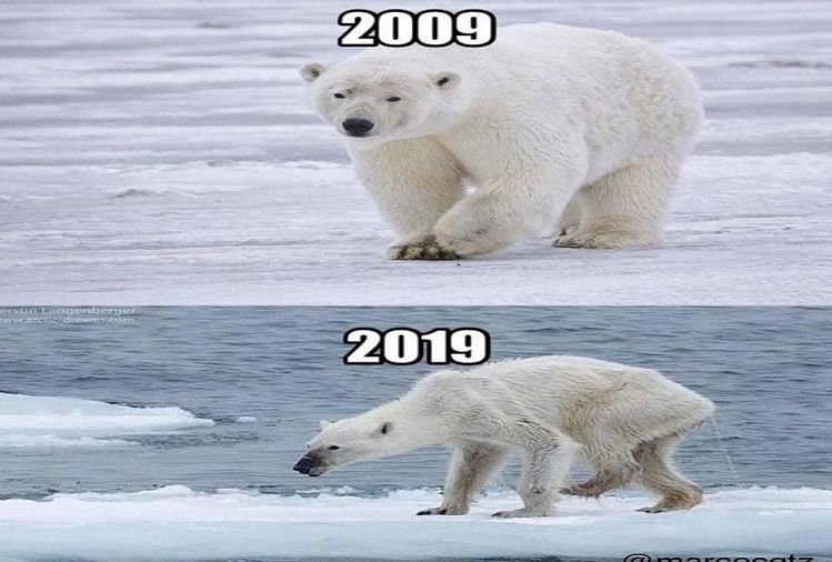 10yearchallenge рдХреА 17 рд╢рд╛рдирджрд╛рд░ рддрд╕реНрд╡реАрд░реЗрдВ рдЬреЛ рдЖрдкрдХреЛ рд▓реЛрдЯрдкреЛрдЯ рд╣реЛрдиреЗ рдкрд░ рдХрд░ рджреЗрдВрдЧреА рдордЬрдмреВрд░ - 10 Year Challenge Funny Memes - Amar Ujala Hindi News Live 10yearchallenge рдХреА 17 рд╢рд╛рдирджрд╛рд░ рддрд╕реНрд╡реАрд░реЗрдВ рдЬреЛ рдЖрдкрдХреЛ рд▓реЛрдЯрдкреЛрдЯ рд╣реЛрдиреЗ рдкрд░ рдХрд░ рджреЗрдВрдЧреА рдордЬрдмреВрд░ - 10 Year Challenge Funny Memes - Amar Ujala Hindi News Live