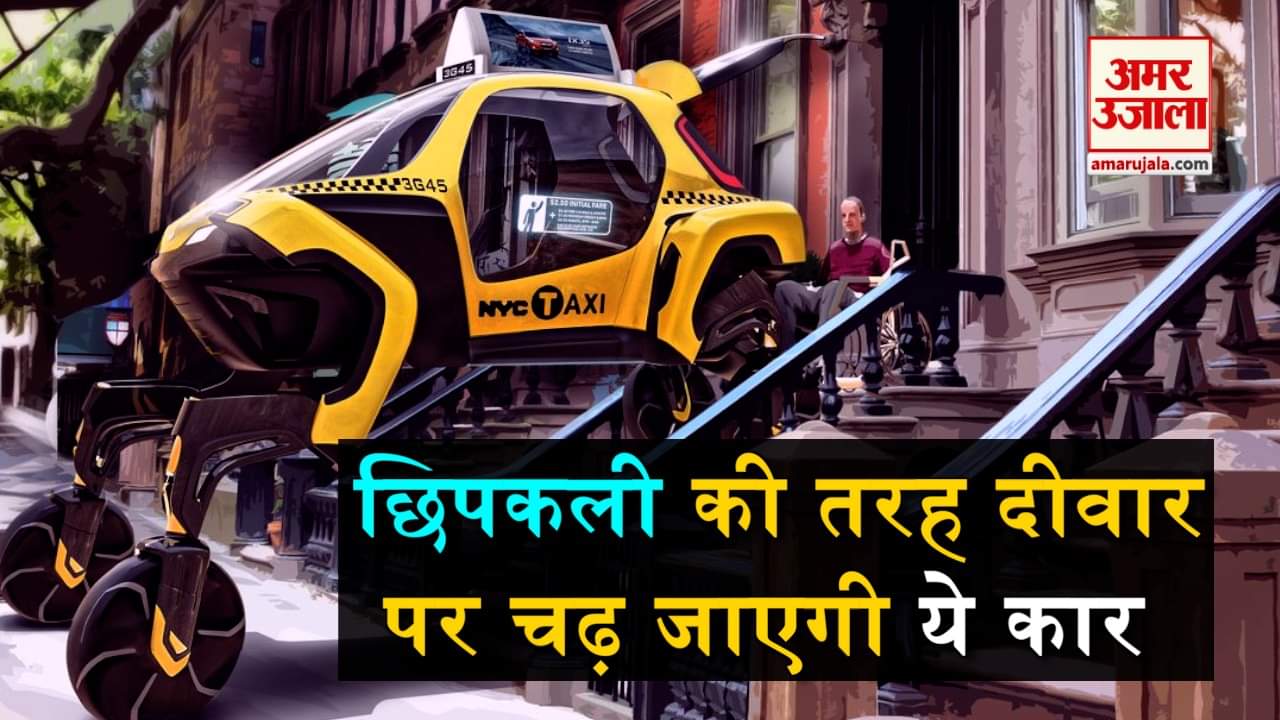 डिजाइन पिक्चर