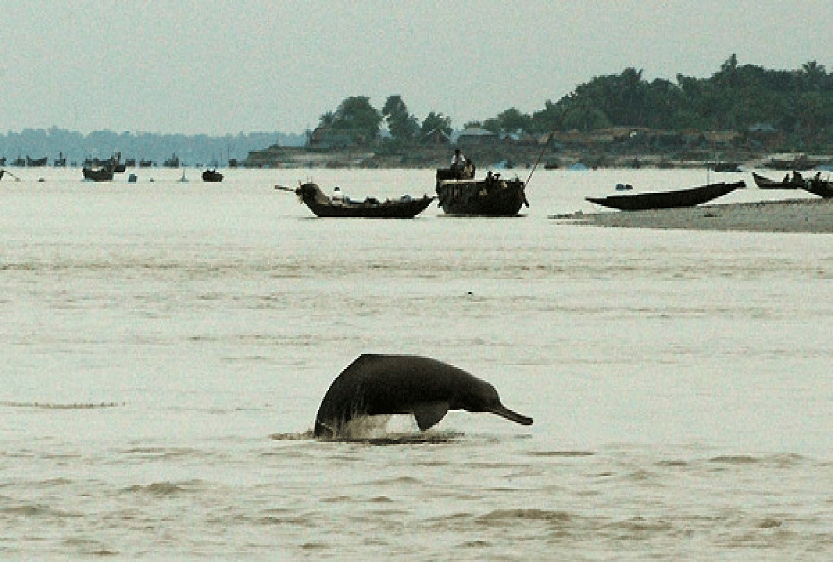 know about the tourist spot in bhgalpur in bihar