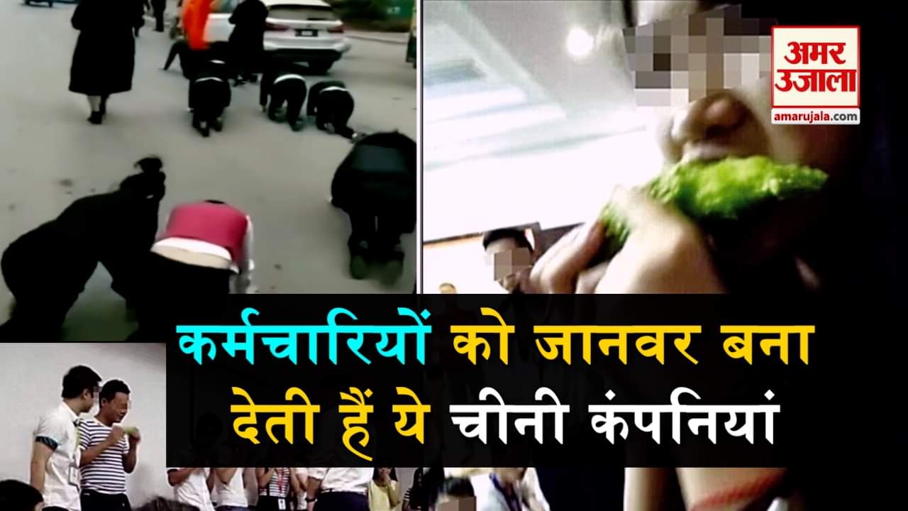 डिजाइन पिक्चर