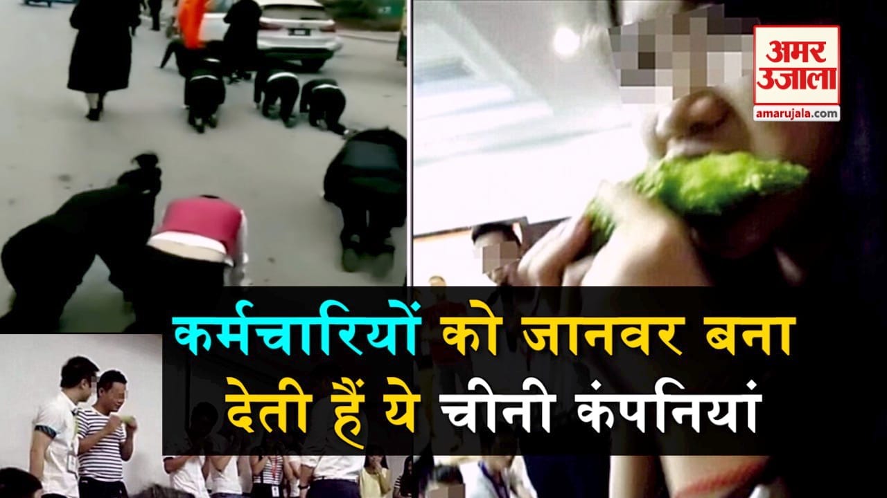 डिजाइन पिक्चर