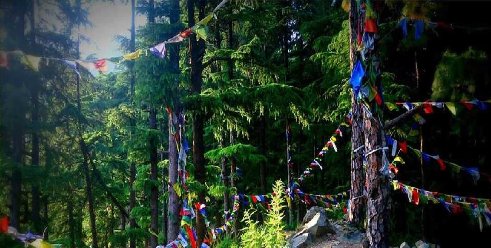  know how to uttrakhand and Himachal pradesh from Tourist buses