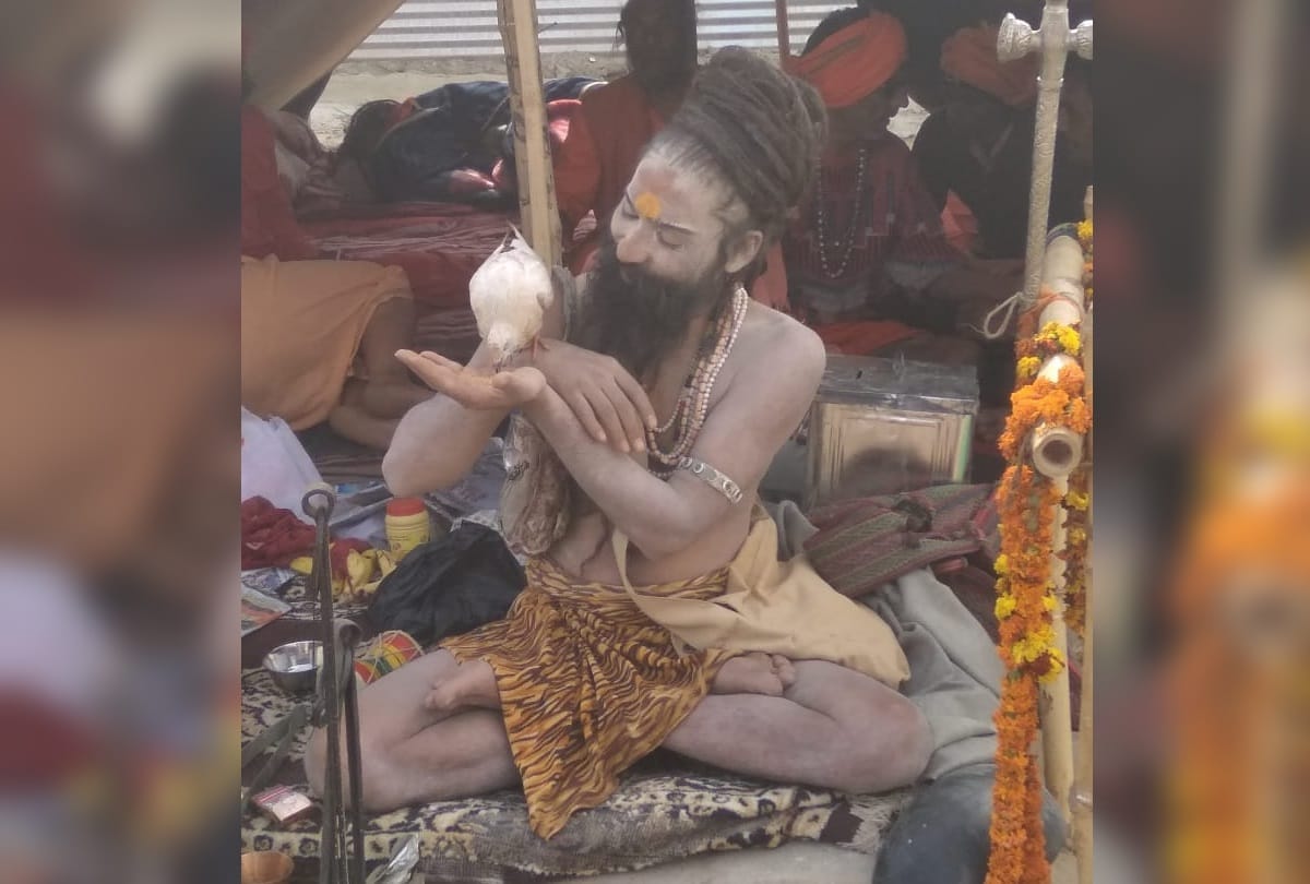different types baba in kumbh mela 2019