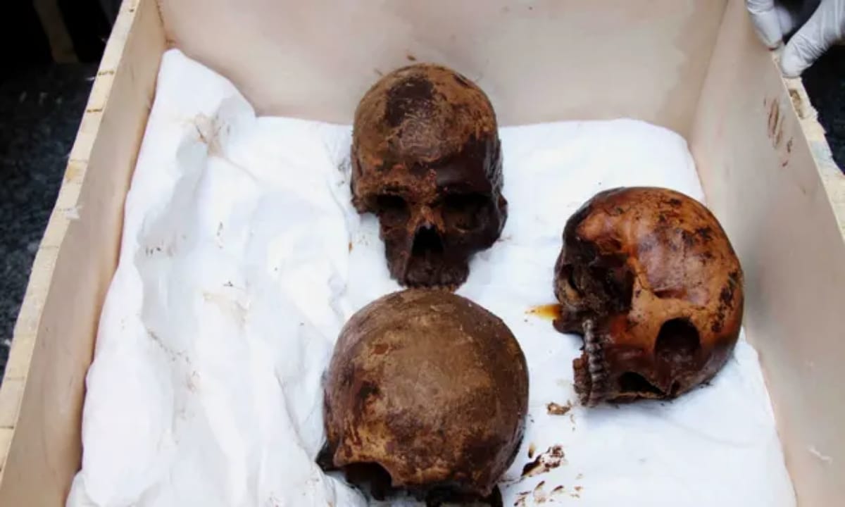 Egypt Alexandria city sarcophagus found three decomposed mummies after sewage leak