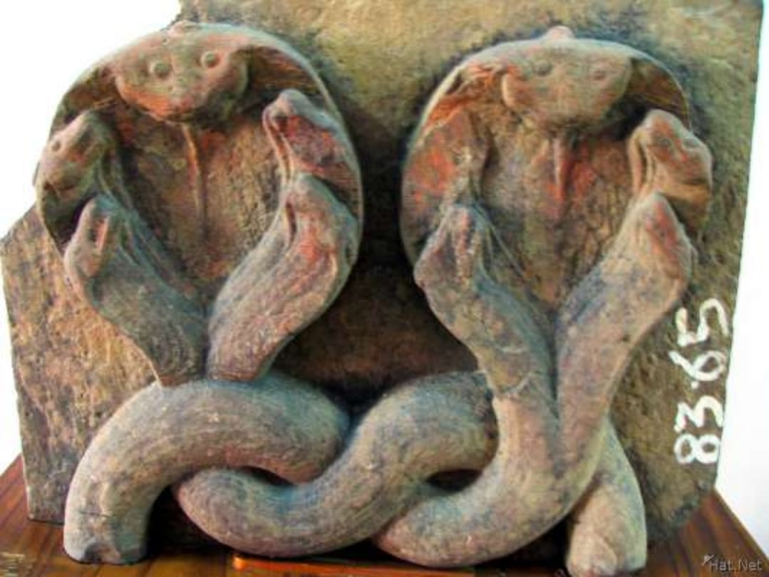 Swapna Shastra Astrology in Shravan month Know Seeing Snake In Dream Is Auspicious Or Inauspicious
