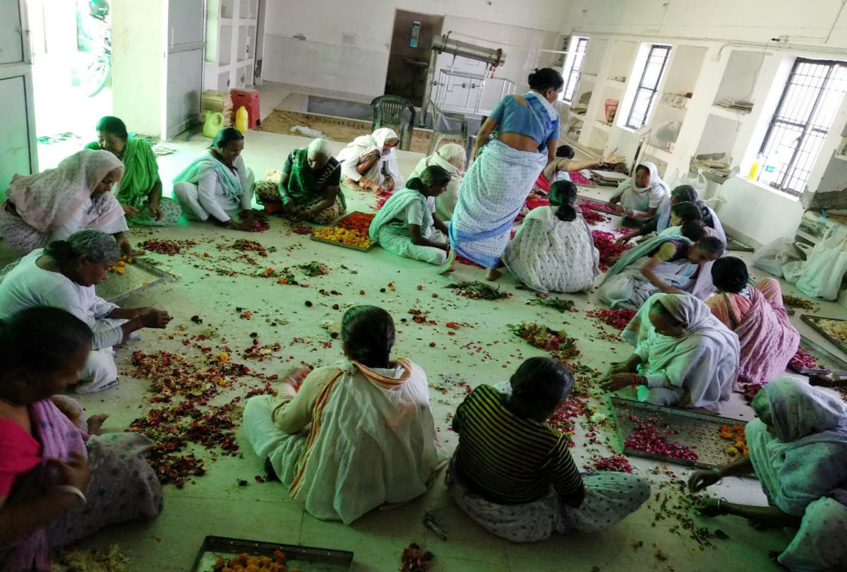 holi 2020 gulal makes by flowers offered banke bihari temple vrindavan