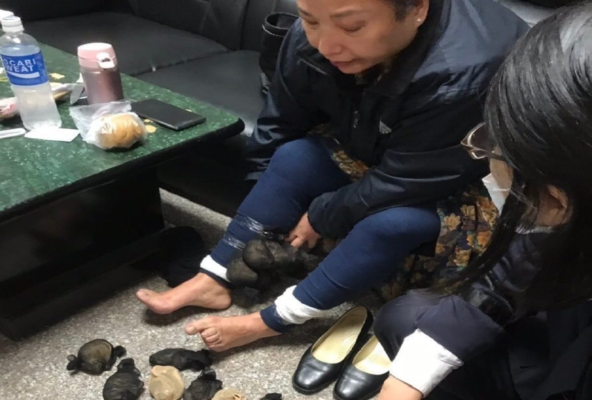 Woman caught with 24 gerbils strapped to her legs under her skirt in Taiwan