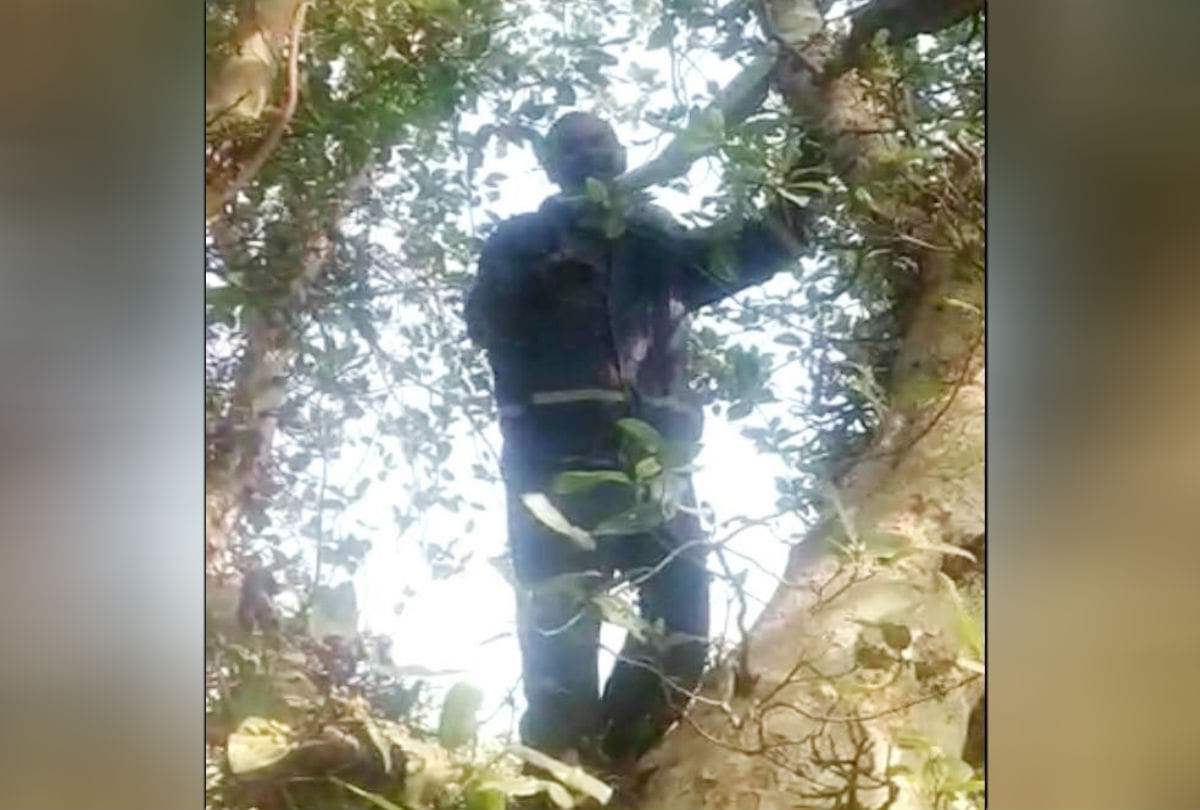 farmer tried to commit suicide on the tree in mathura