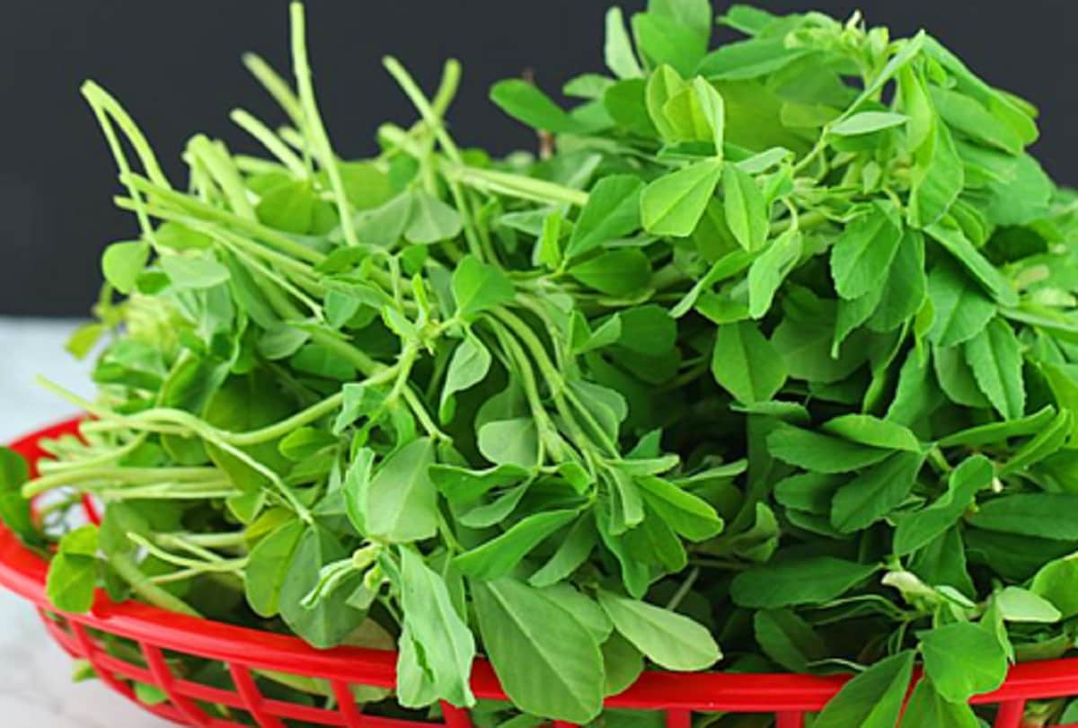 nagpanchami 2019 don’t do these things on nagpanchami